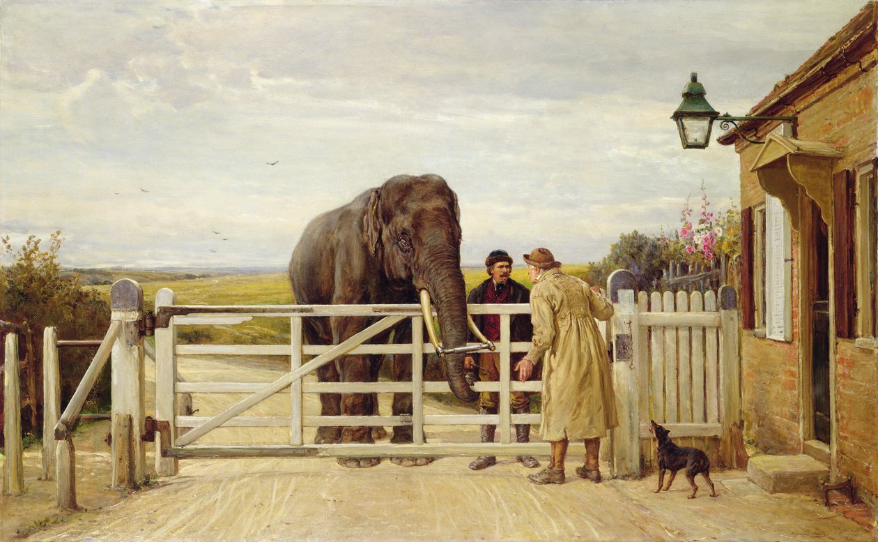 A portagem contestada de Heywood Hardy