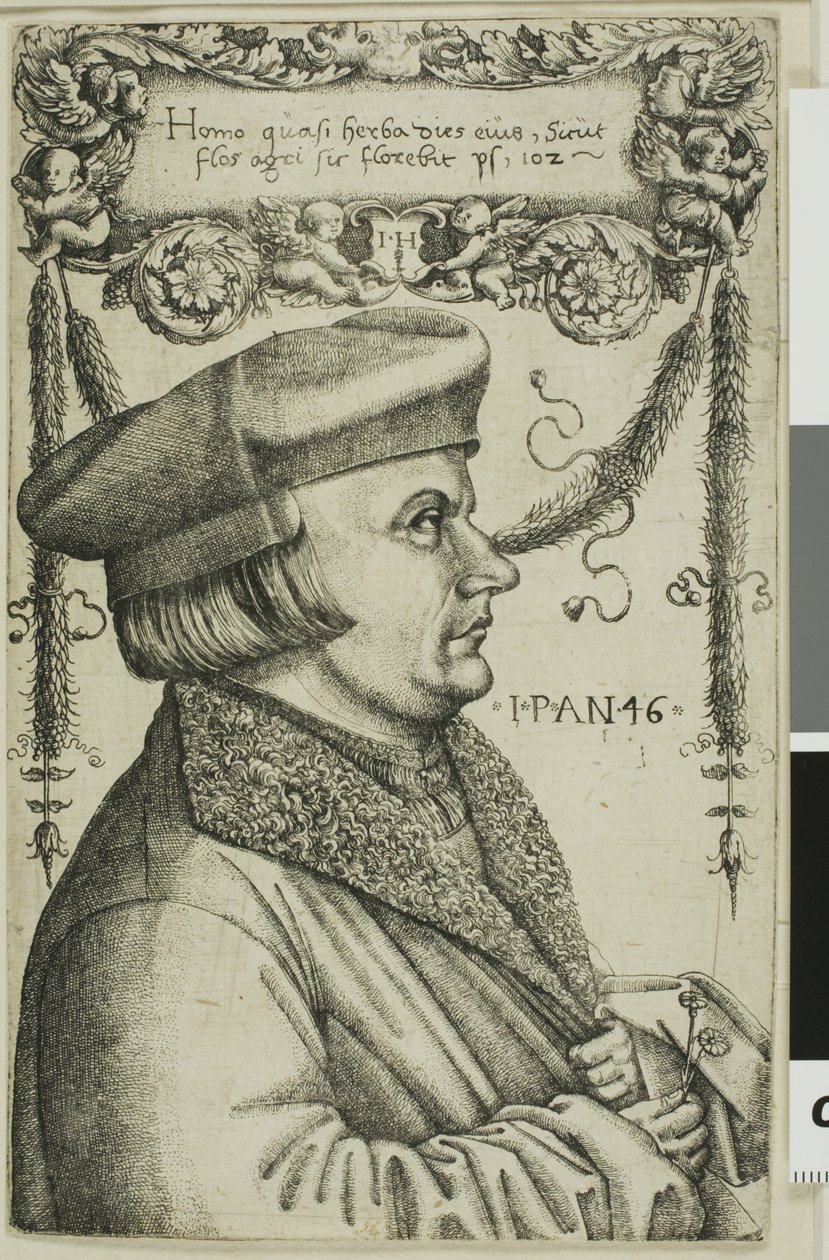 Retrato de um homem de Hieronymous Hopfer