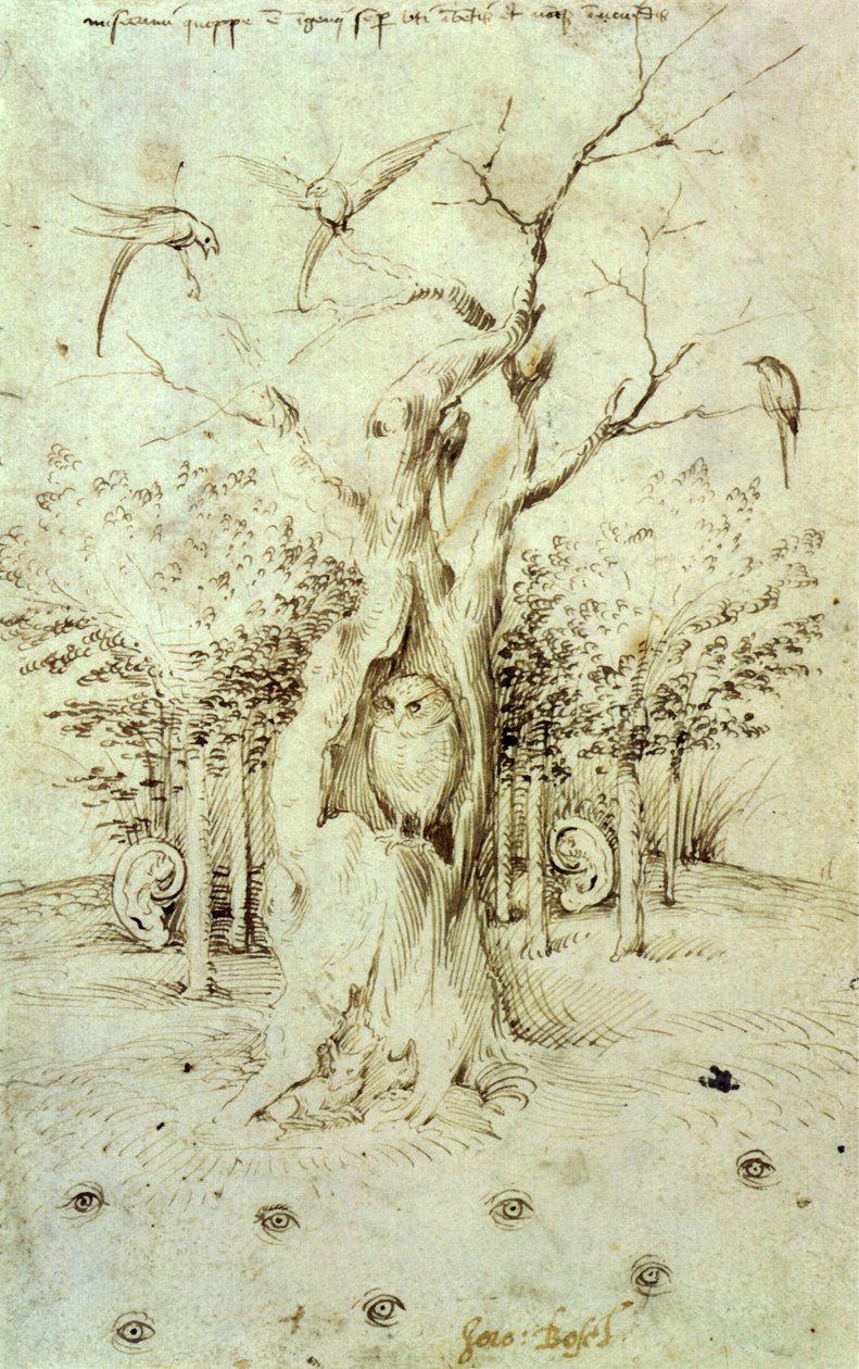 A floresta que ouve e o campo que vê de Hieronymus Bosch