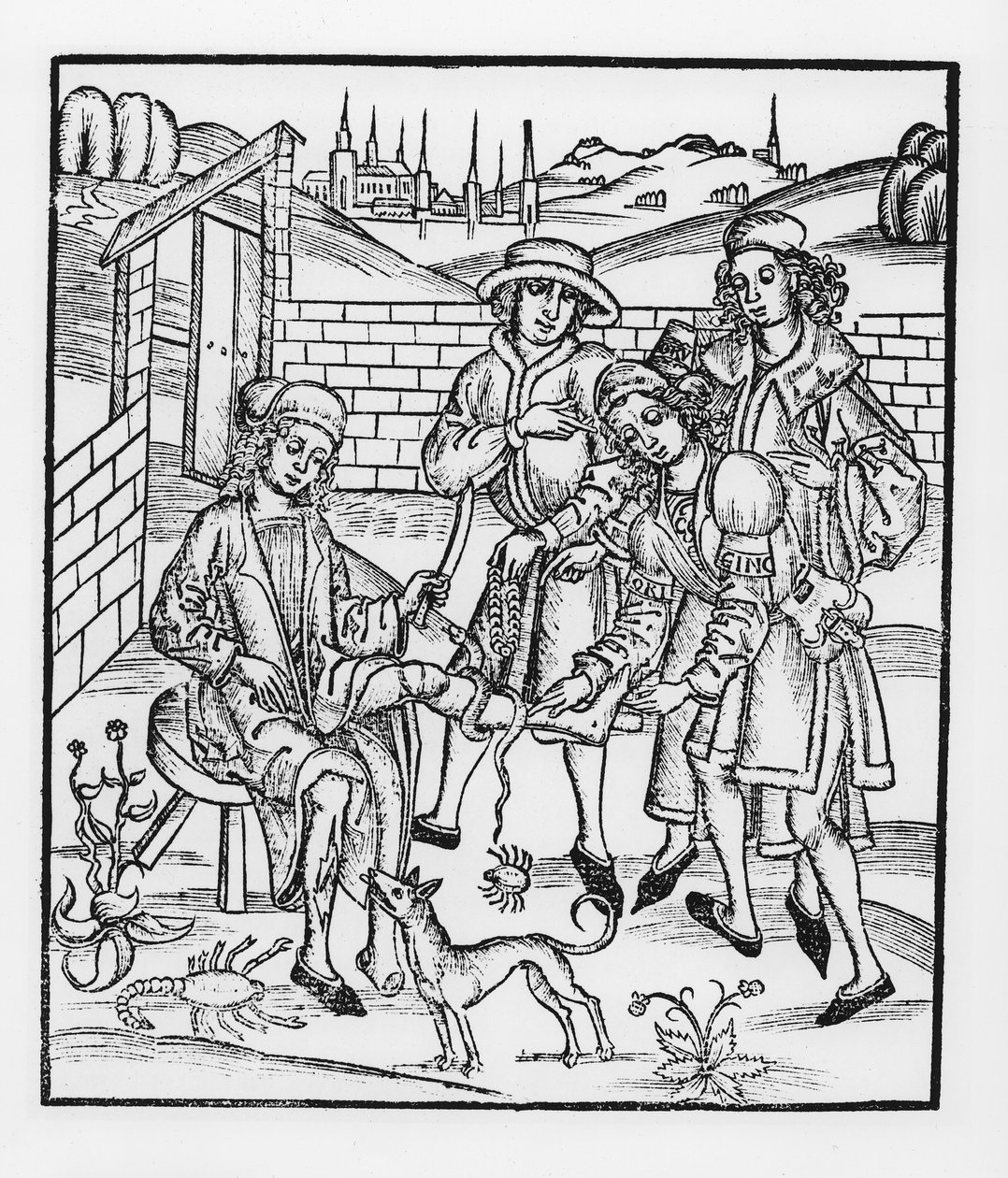 Cuidando de uma mordida de cobra, do "The Book of Cirugia" publicado em Estrasburgo, 1497 de Hieronymus Brunschwig