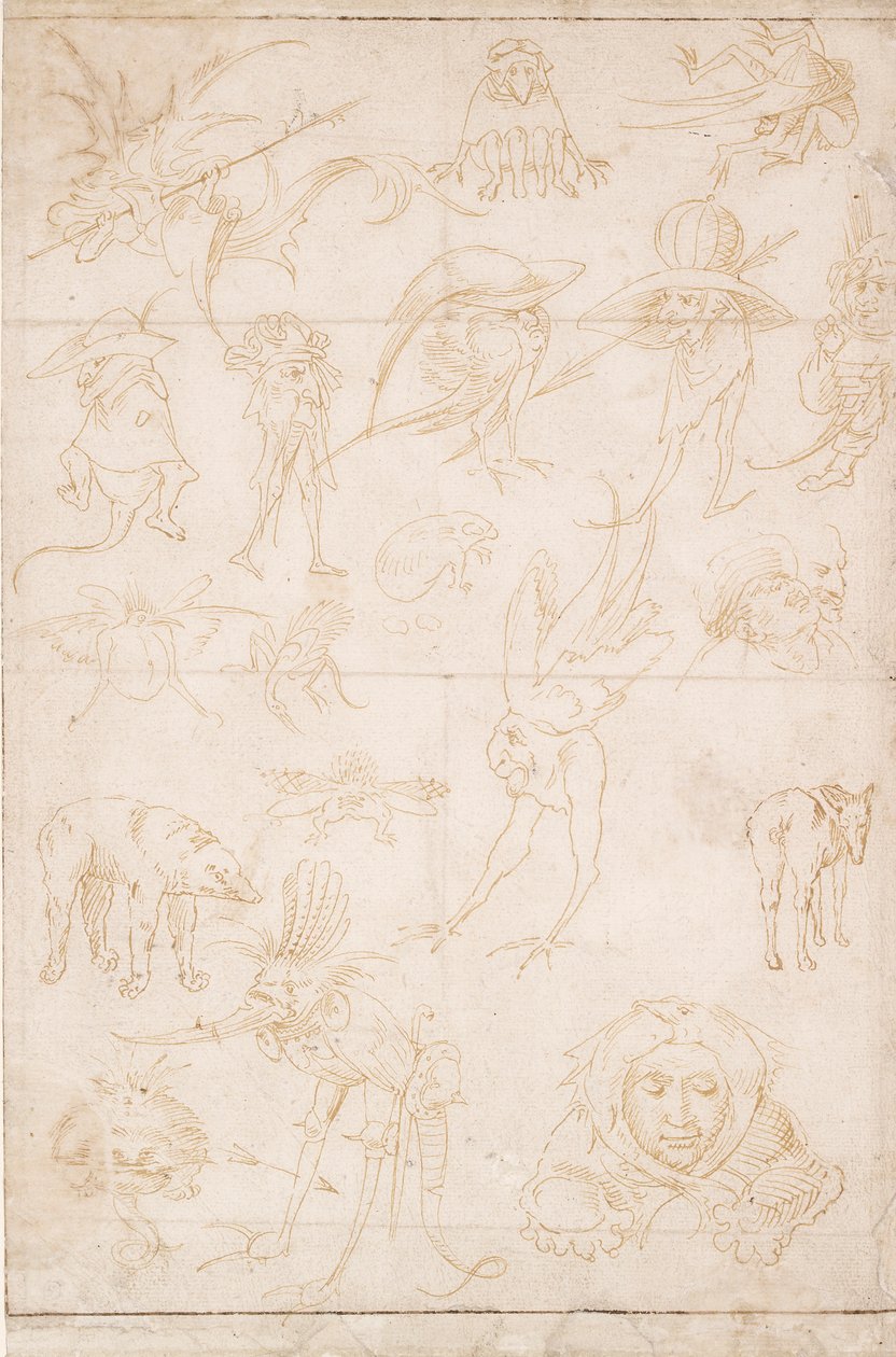 Estudos grotescos, c1500-1520 de Hieronymus Bosch