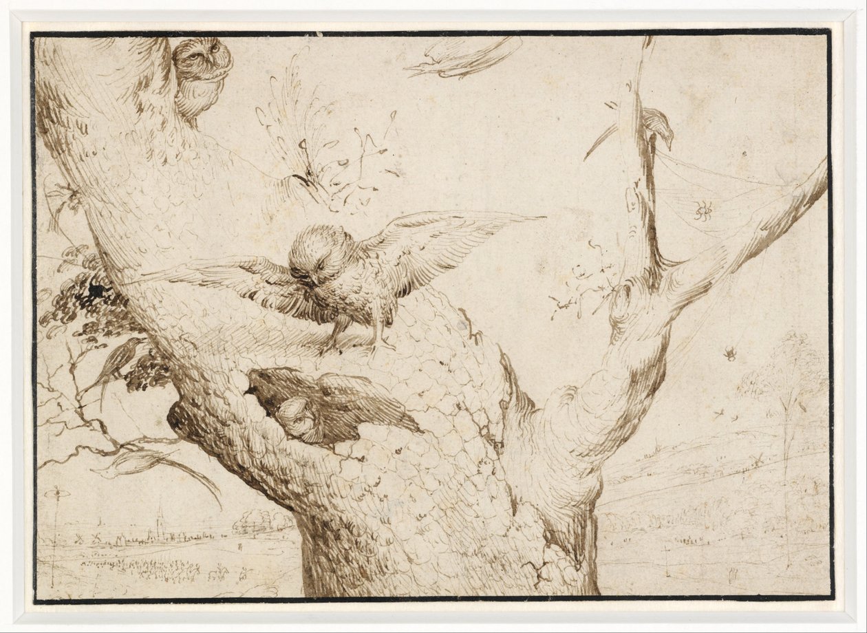 O ninho da coruja de Hieronymus Bosch