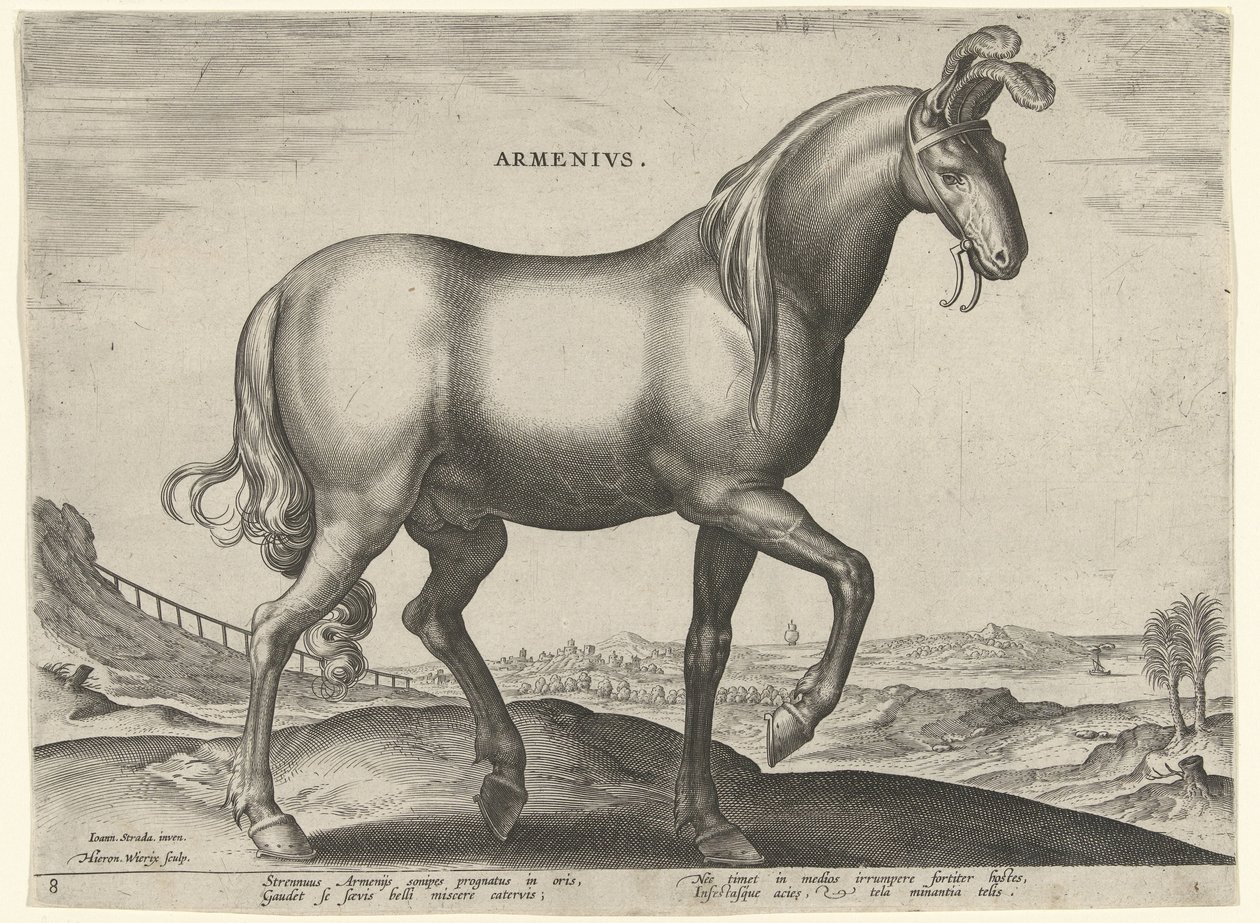 Cavalo da Armênia (Armênio) Armênios (título no objeto) Raças de Cavalos dos Estábulos Reais de Don Juan da Áustria (título da série) Equile Ioannis Austriaci Caroli (título da série) de Hieronymus Wierix
