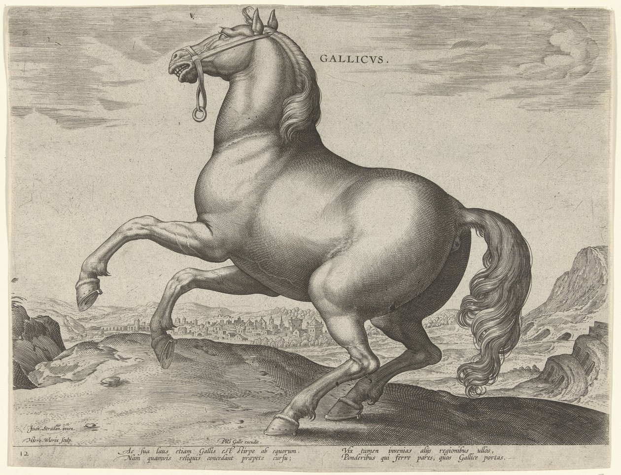 Cavalo de França (Gallicus)
Gallicvs (título sobre o objecto)
Raças de cavalos dos estábulos reais de Don Juan da Áustria (título da série)
Equile Ioannis Austriaci Caroli (título da série) de Hieronymus Wierix