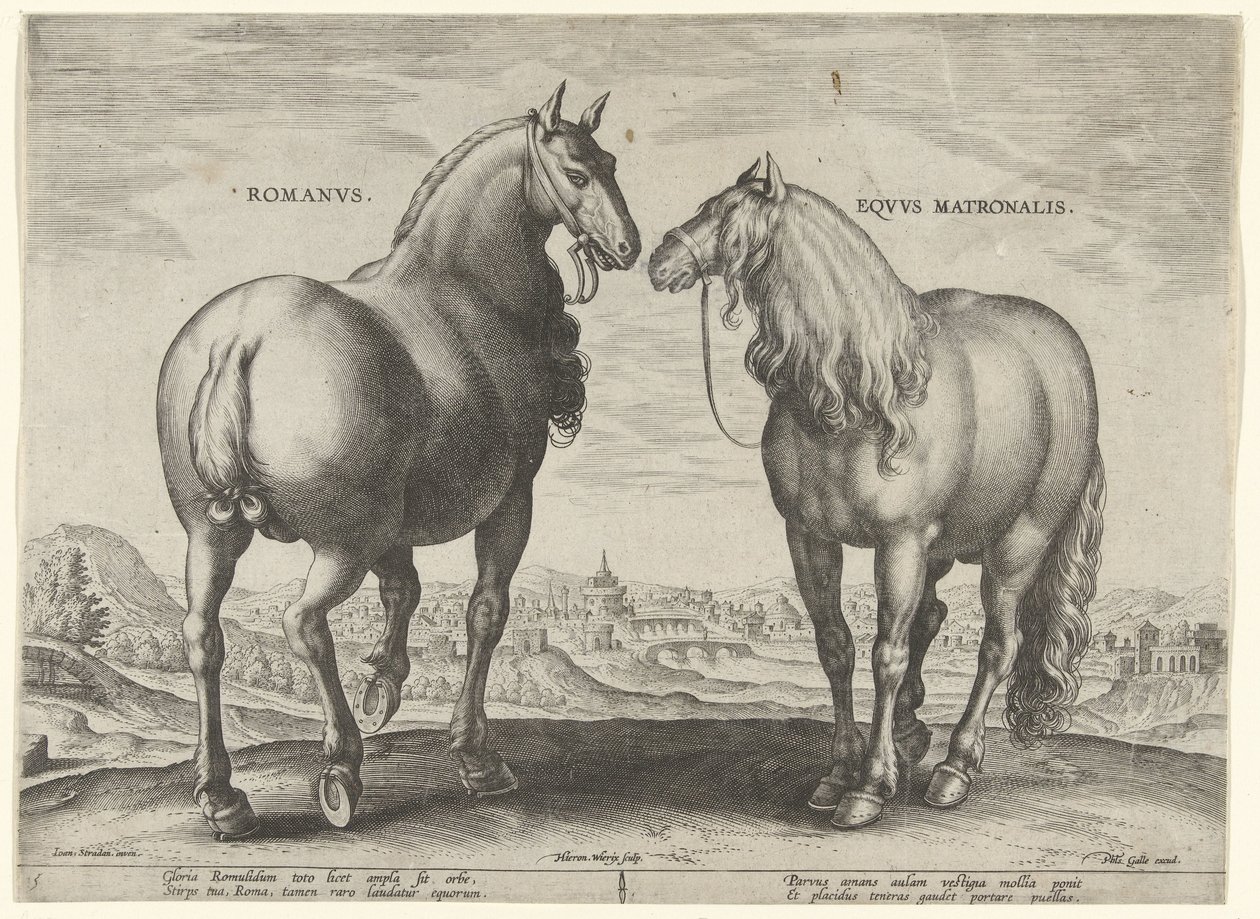 Cavalo de Roma e uma égua de aluguer
Romanvs Eqvvs Matronalis (título sobre o objecto)
Raças de cavalos dos estábulos reais de Don Juan da Áustria (título da série)
Equile Ioannis Austriaci Caroli (título da série) de Hieronymus Wierix