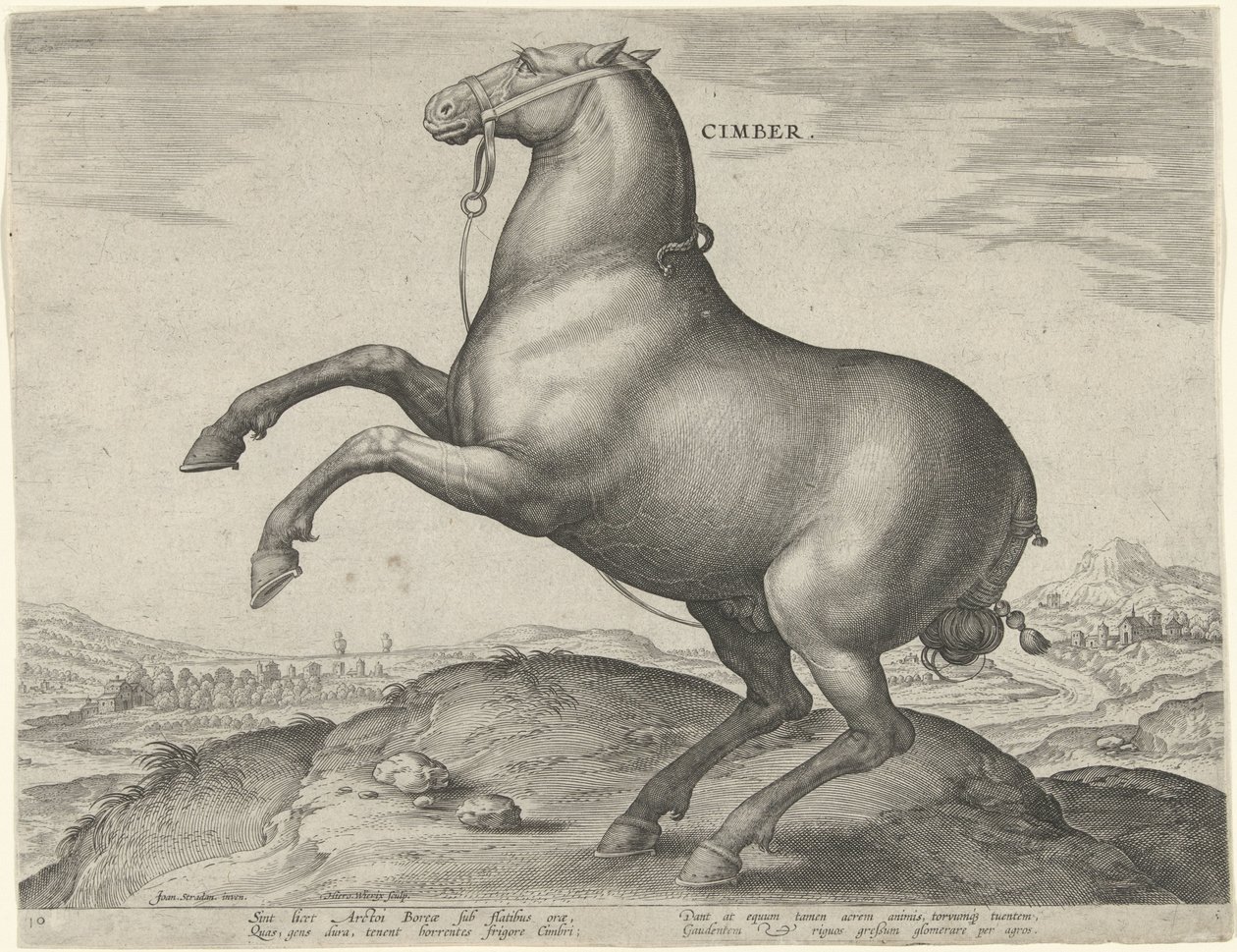 Cavalo da Cítia Cimber (título no objeto) Raças de Cavalos dos Estábulos Reais de Don Juan da Áustria (título da série) Equile Ioannis Austriaci Caroli (título da série) de Hieronymus Wierix