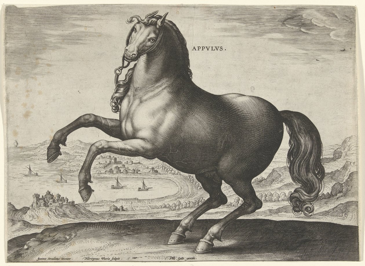 Cavalo do sul da Itália (Apulus) Appvlvs (título no objeto) Raças de Cavalos dos Estábulos Reais de Don Juan da Áustria (título da série) Equile Ioannis Austriaci Caroli (título da série) de Hieronymus Wierix