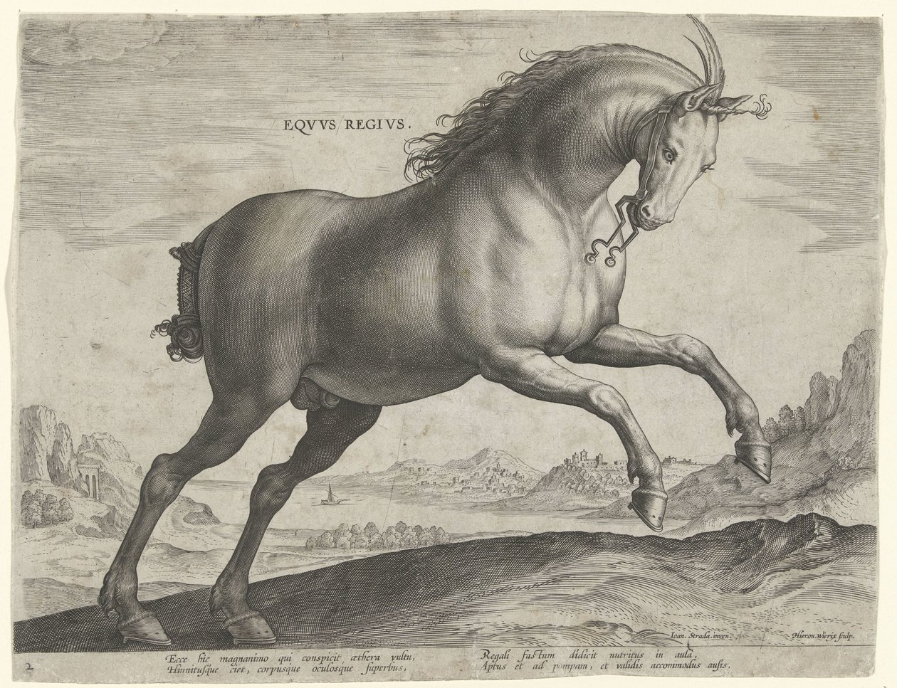 Cavalo da raça Equus Regius (o Real)
Eqvvs Regivs (título sobre o objecto)
Raças de cavalos dos estábulos reais de Don Juan da Áustria (título da série)
Equile Ioannis Austriaci Caroli (título da série) de Hieronymus Wierix