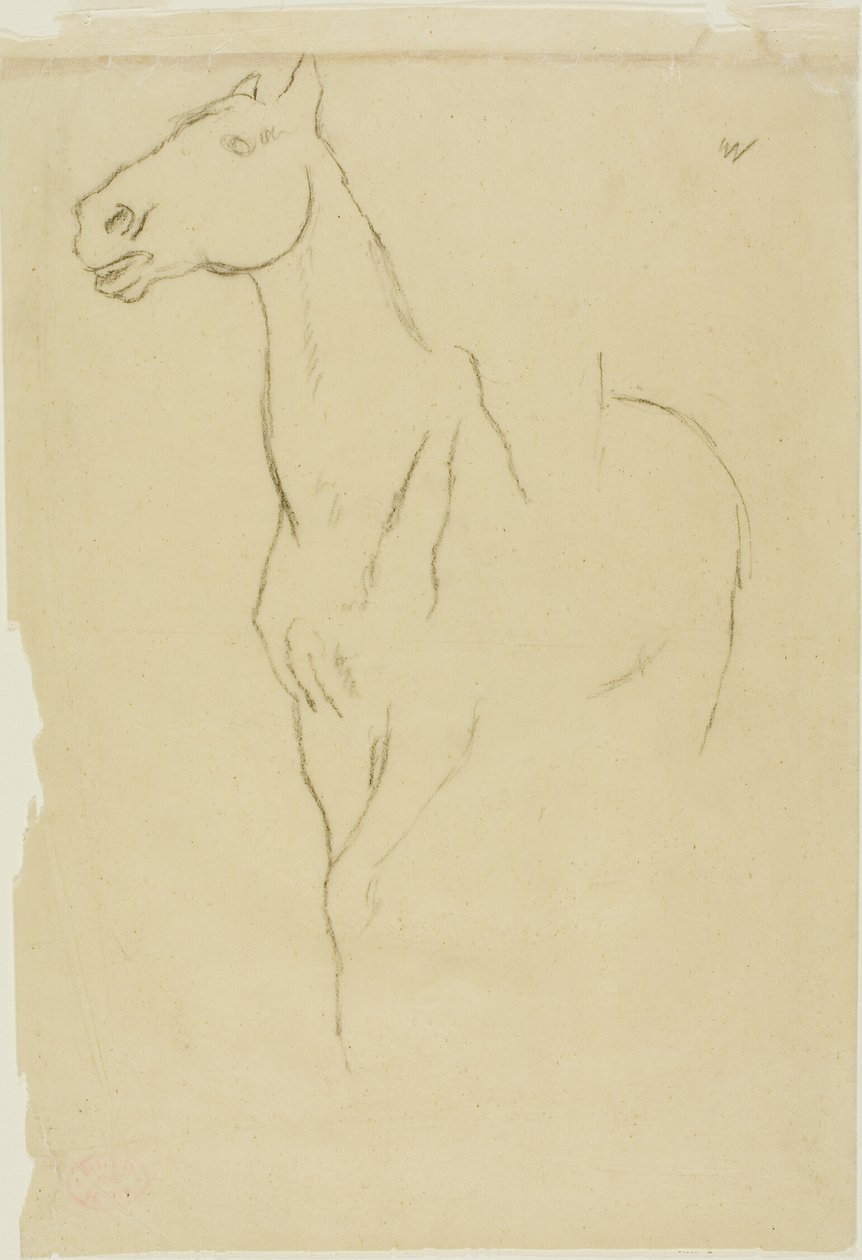 Cavalo transformado em três quartos de Hilaire Germain Edgar Degas