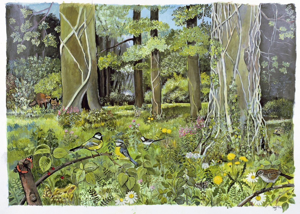 Atrás dos escudeiros, Devon (acrílico sobre papel) de Hilary Jones