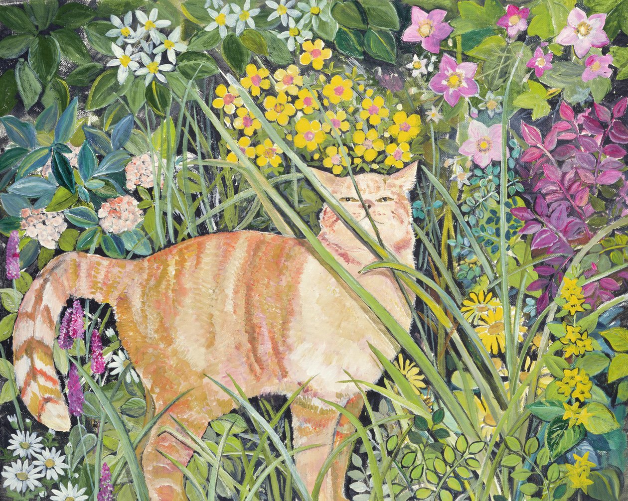 Gato e grama longa, 1996 de Hilary Jones