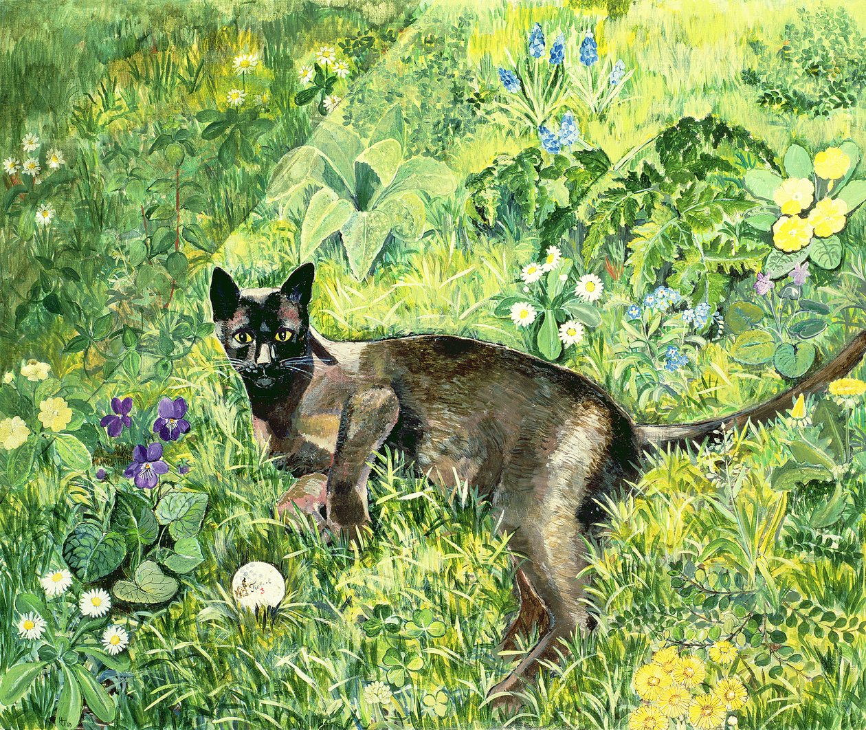 Gato de golfe de Hilary Jones