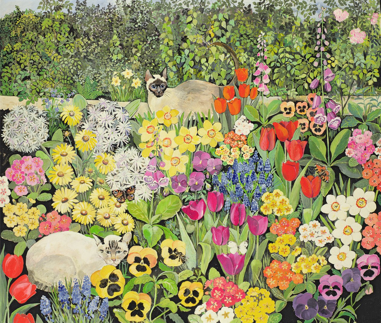 Gatos da Primavera de Hilary Jones