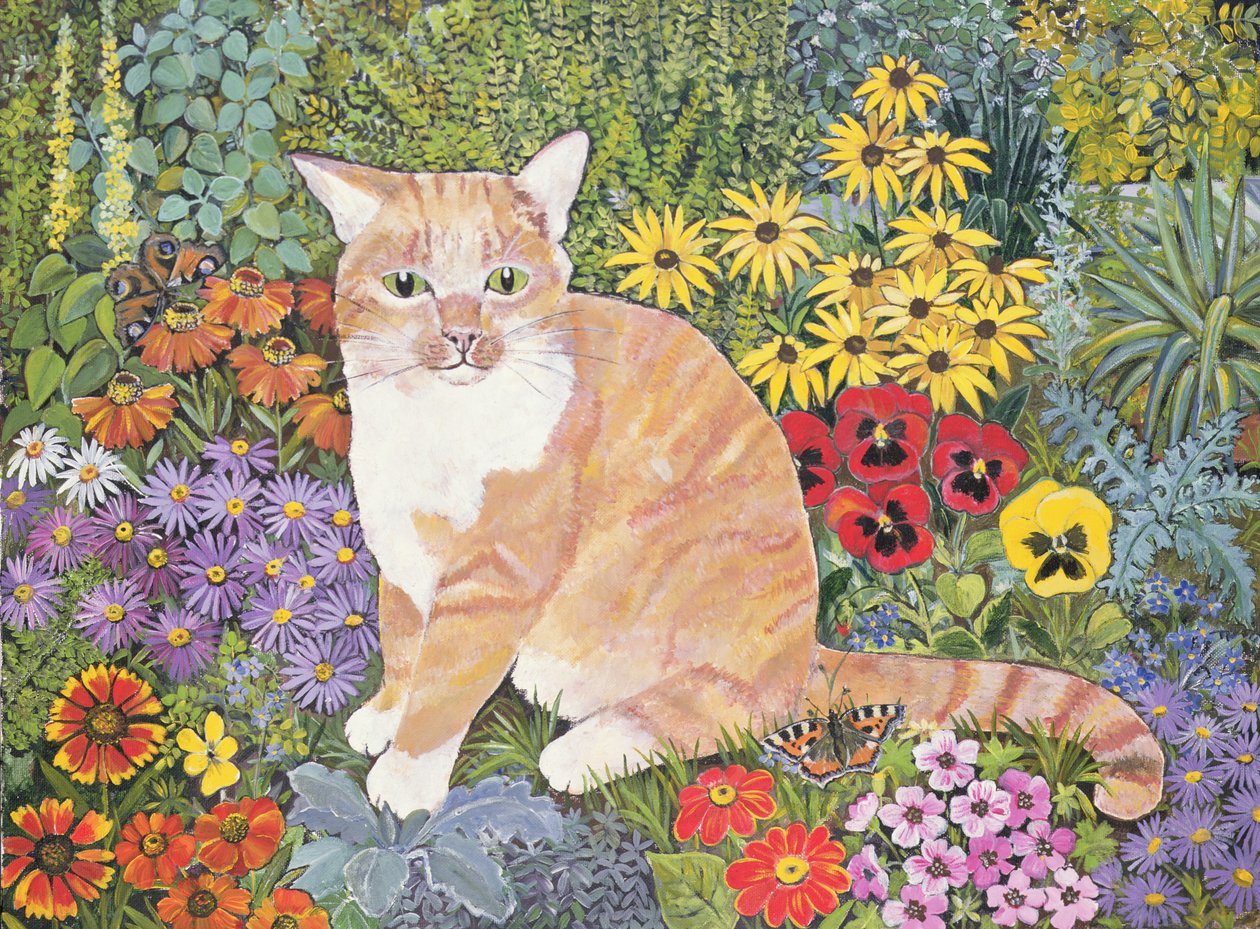 O gato dos carpinteiros de Hilary Jones