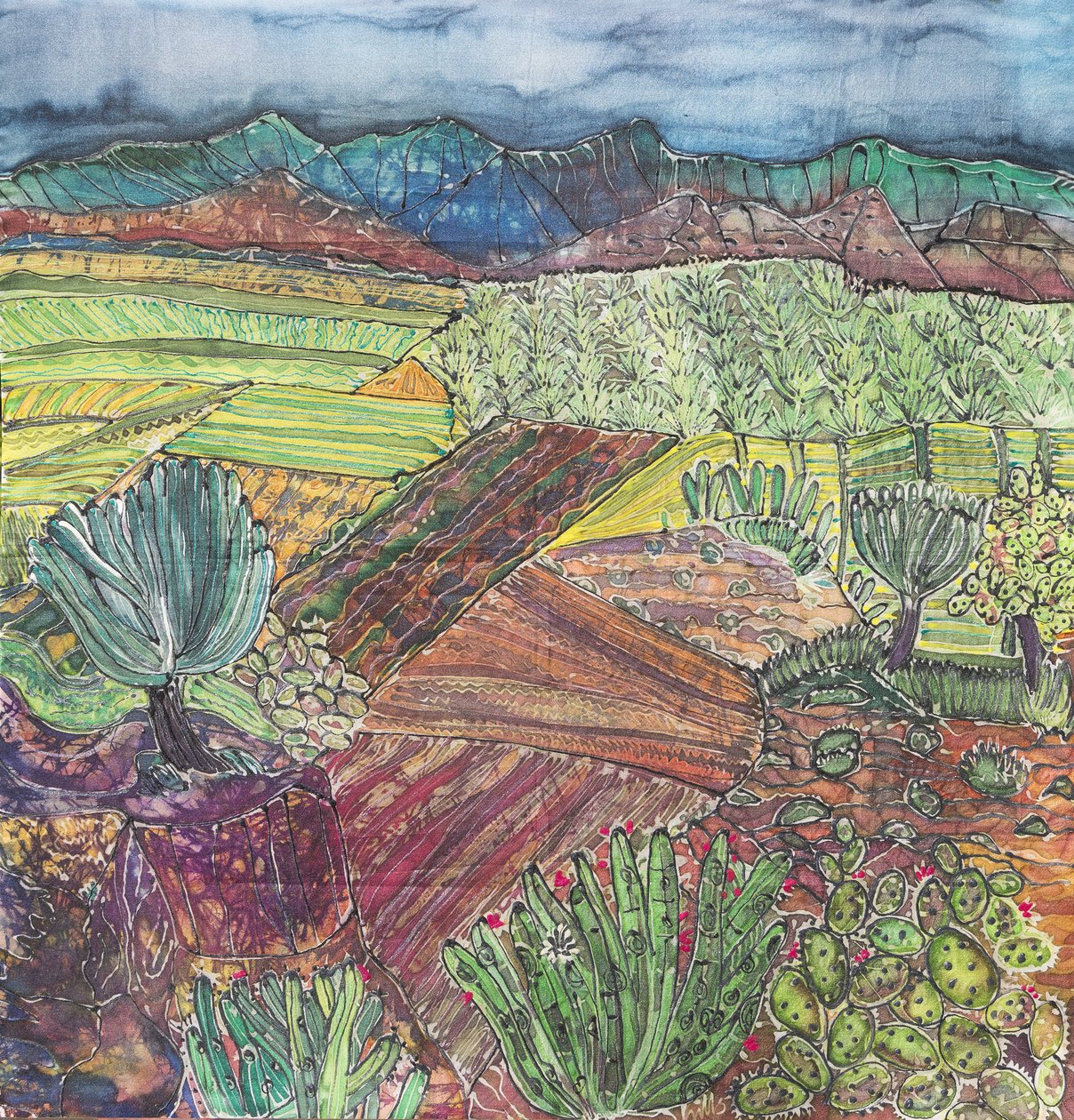 Paisagem de Oaxaca de Hilary Simon