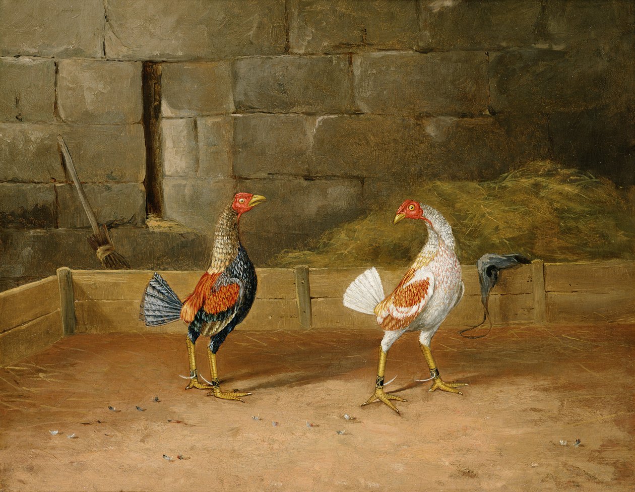O Desafio (óleo sobre tela) (par a 101164) de Hilton L. Jnr. Pratt