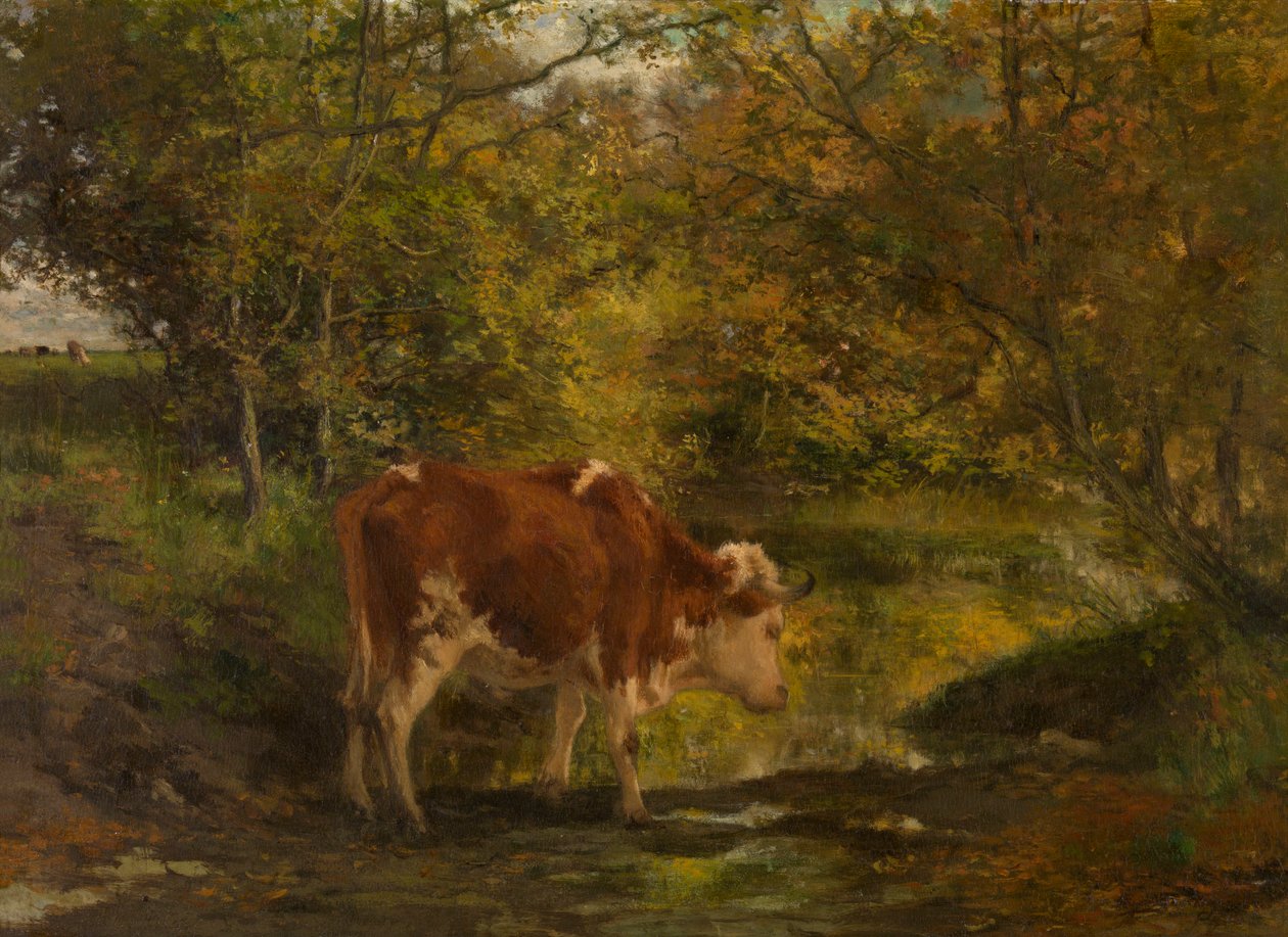 Vaca junto à vala de Hippolyte Boulenger