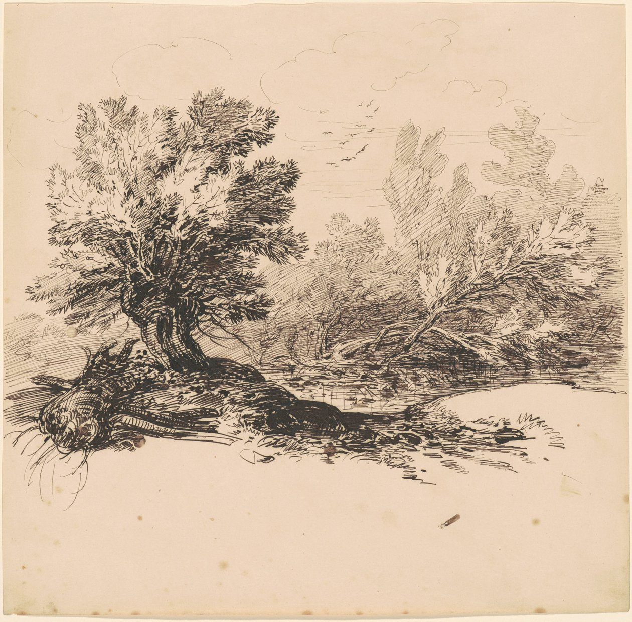 Um Salgueiro Pollard por um córrego de Hippolyte Lalaisse