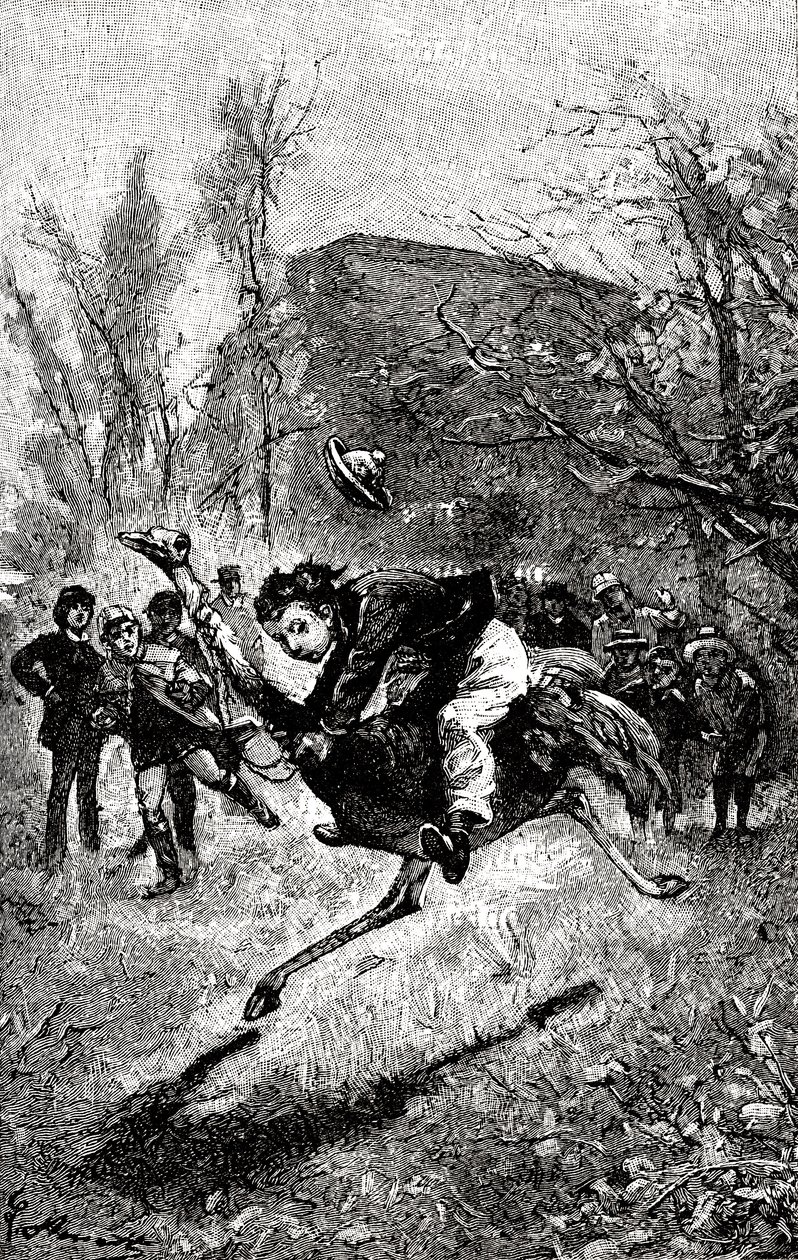 O jovem Serviço está a montar numa avestruz. Gravação de Hippolyte Leon Benett