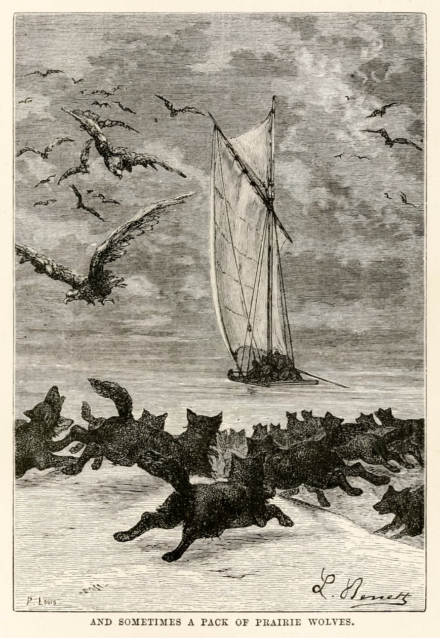 E às vezes um bando de lobos-da-pradaria, de Volta ao Mundo em Oitenta Dias, de Jules Verne (1828-1905), gravado por Louis, 1873 de Hippolyte Leon after Benett