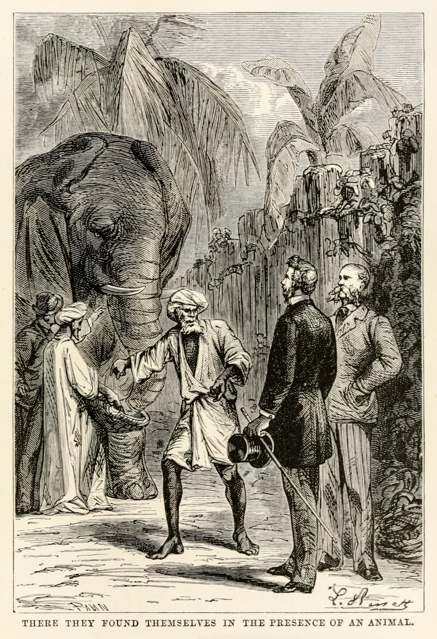 Lá, eles se encontraram na presença de um animal, de Volta ao Mundo em Oitenta Dias, de Júlio Verne (1828-1905), gravado por Adolphe François Pannemaker (1822-1900), 1873 de Hippolyte Leon after Benett