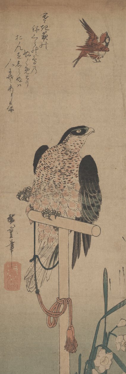 Falcão em Perch, Sparrow, e Narciso de Hirokage Utagawa