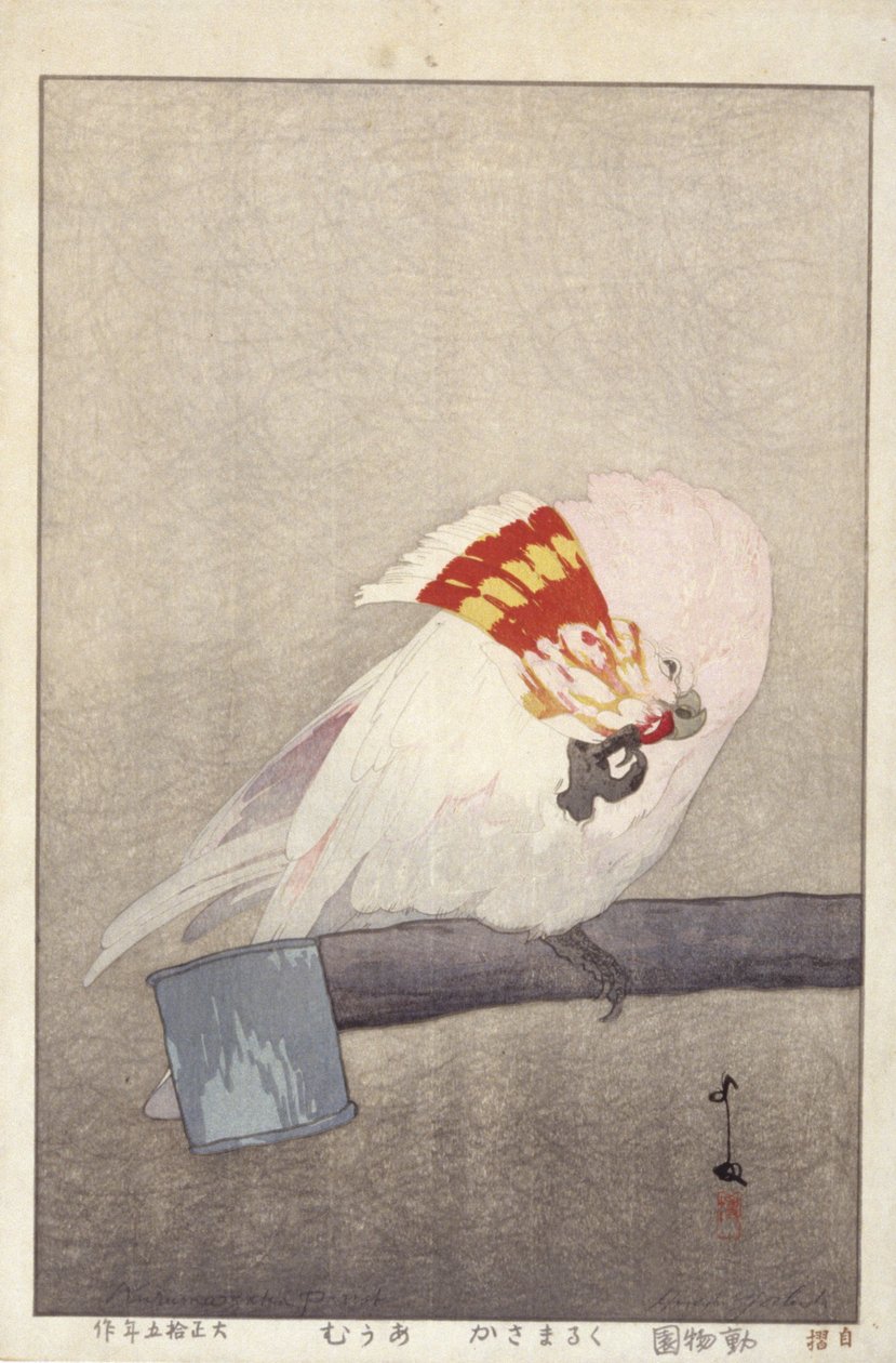 Cockatoo On Feeder (impressão em bloco de madeira a cores) de Hiroshi Yoshida