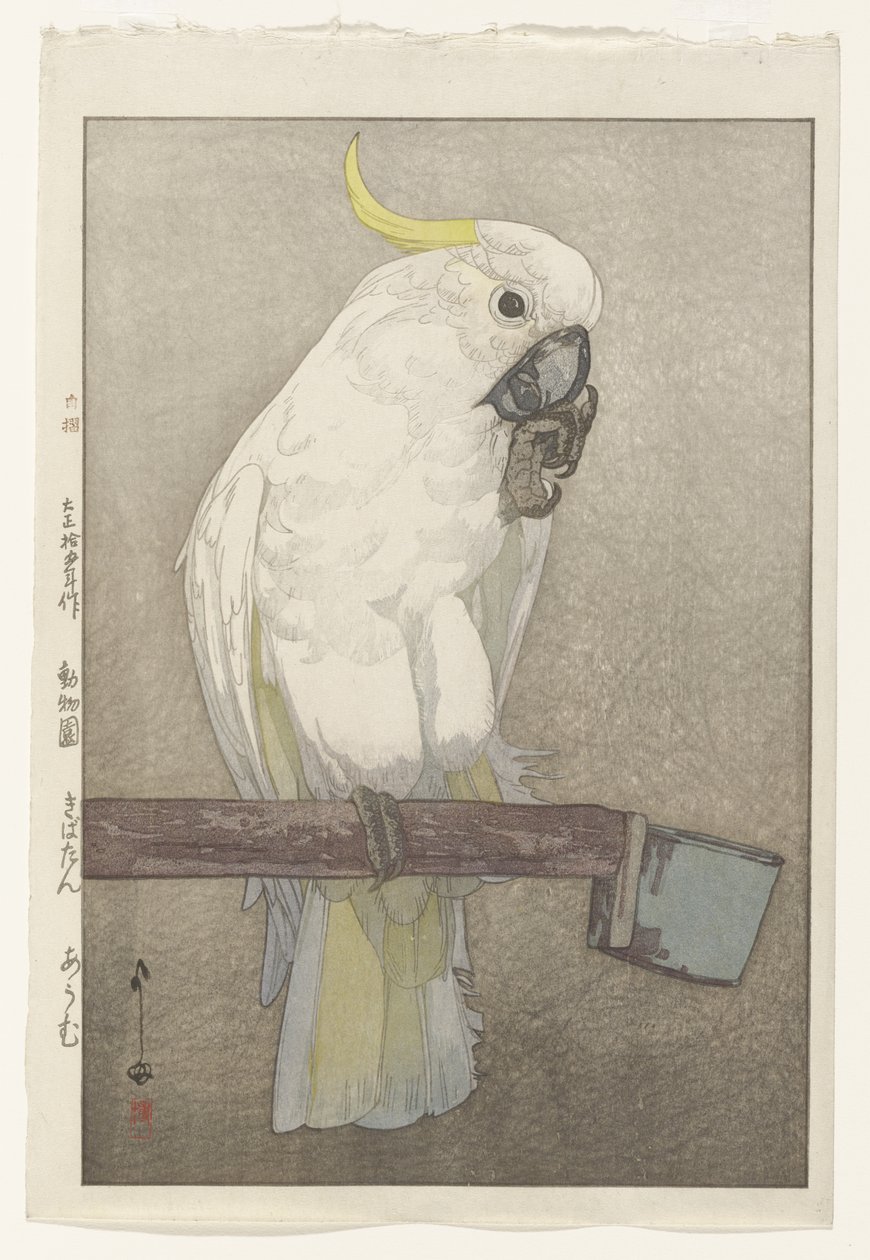 Cacatua com crista de enxofre de Hiroshi Yoshida