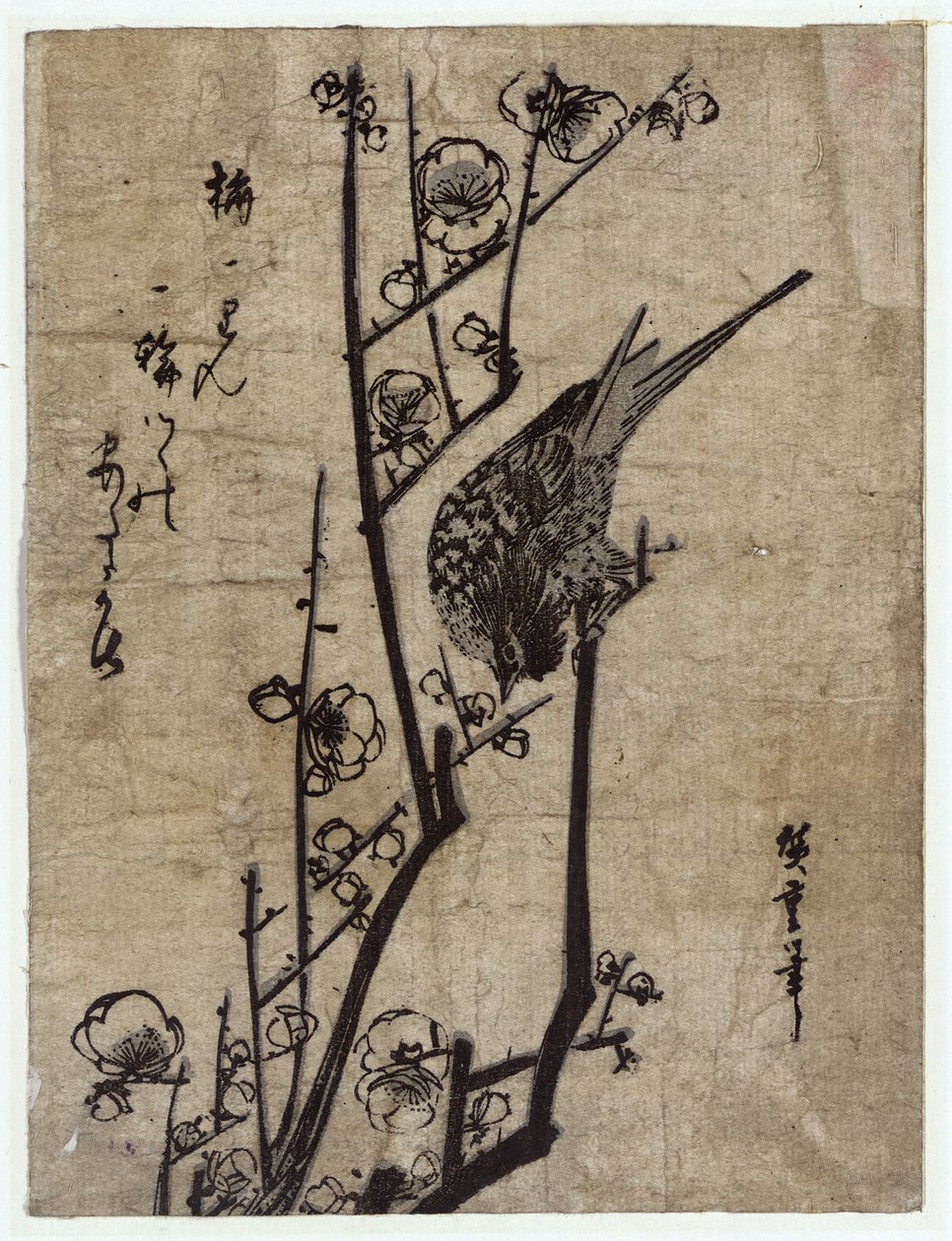 Ume ni Uguisu (Flor de Ameixa e Toutinegra de Bush) de Utagawa Hiroshige