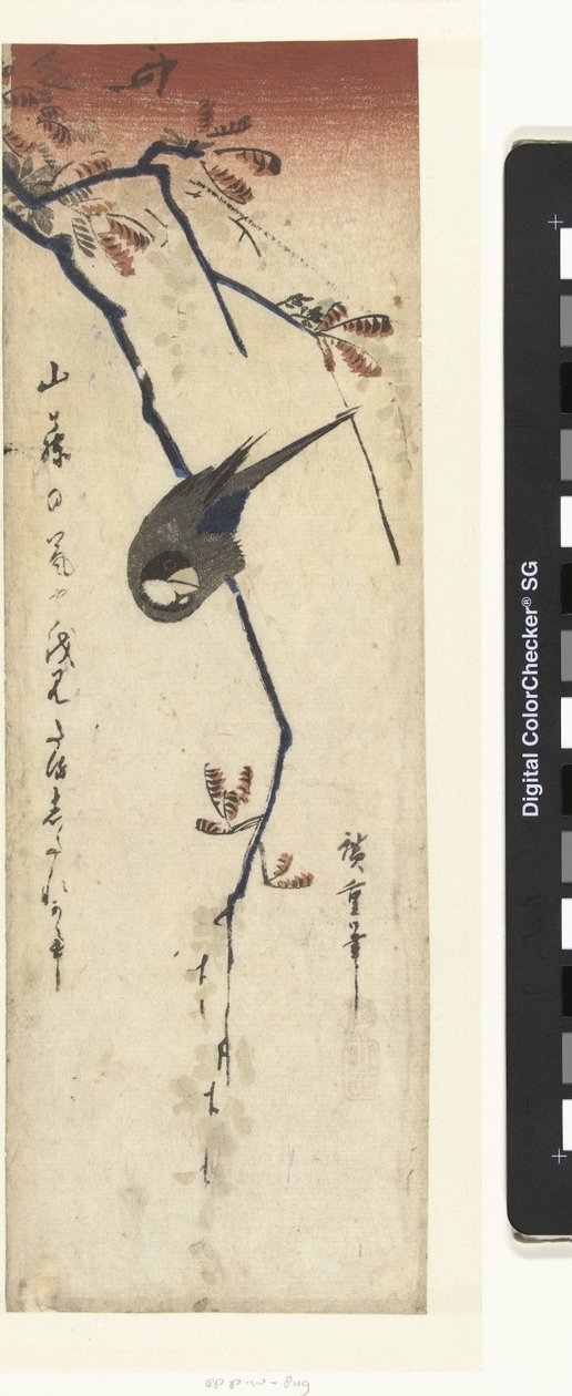 Bird e wisteria de Hiroshige (I) , Utagawa