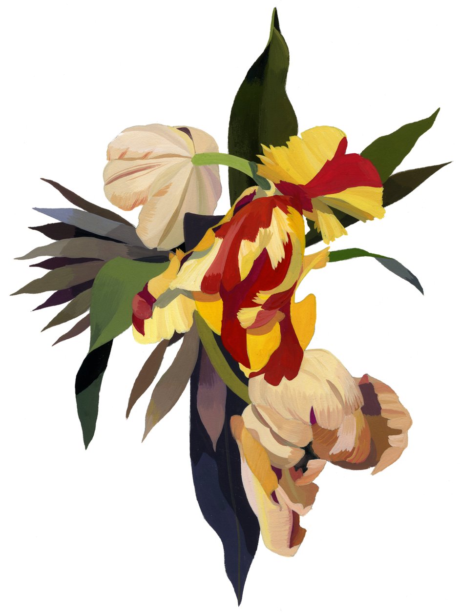 Papagaio de tulipa 3 de Hiroyuki Izutsu