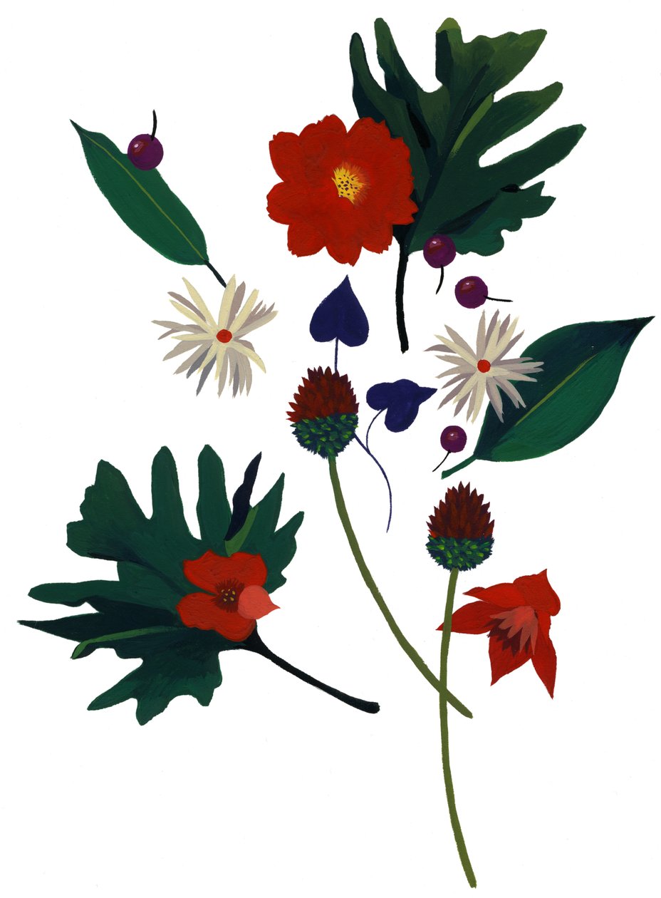 Uma flor que te faz imaginar o Natal. de Hiroyuki Izutsu