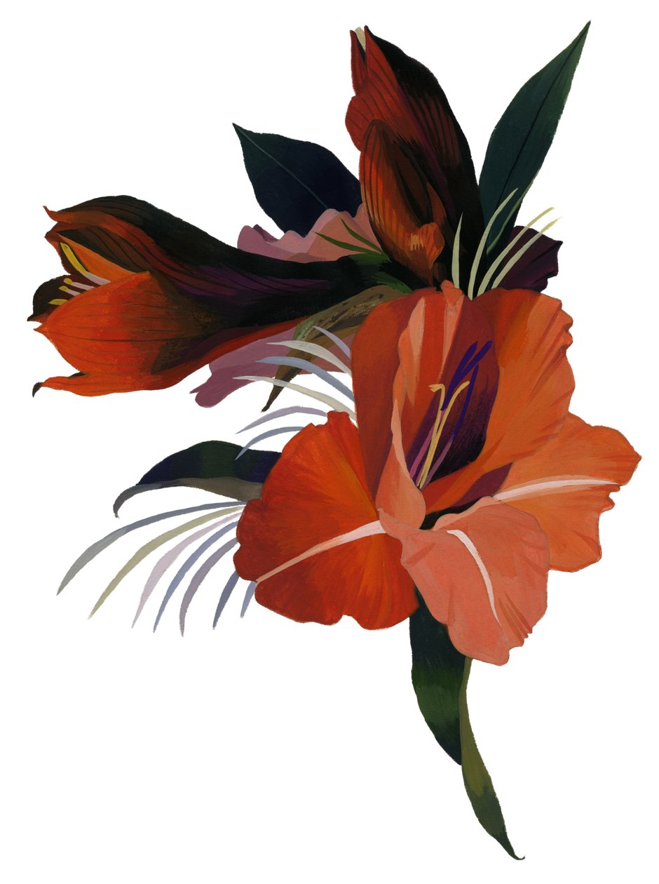 Uma flor imaginária baseada em um amaryllis. de Hiroyuki Izutsu