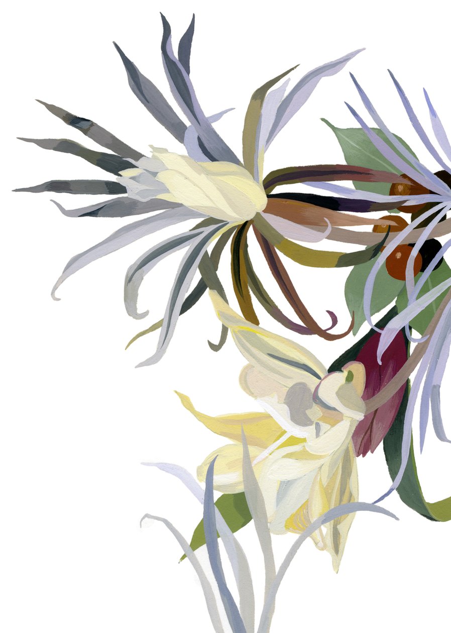 Flores elegantes, em forma de urso. de Hiroyuki Izutsu