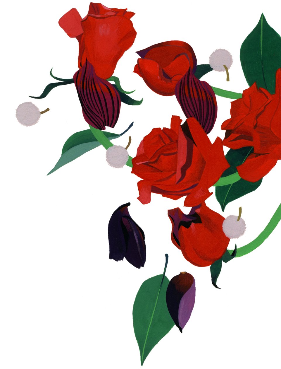 Rosa vermelha de Hiroyuki Izutsu
