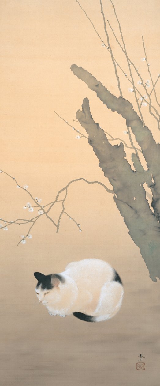 Flores de gato e ameixa de Hishida shunso