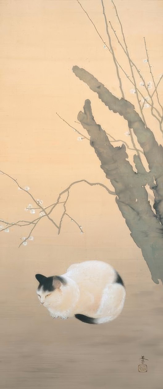 Hishida shunso, flores de gato e ameixa de Hishida shunso