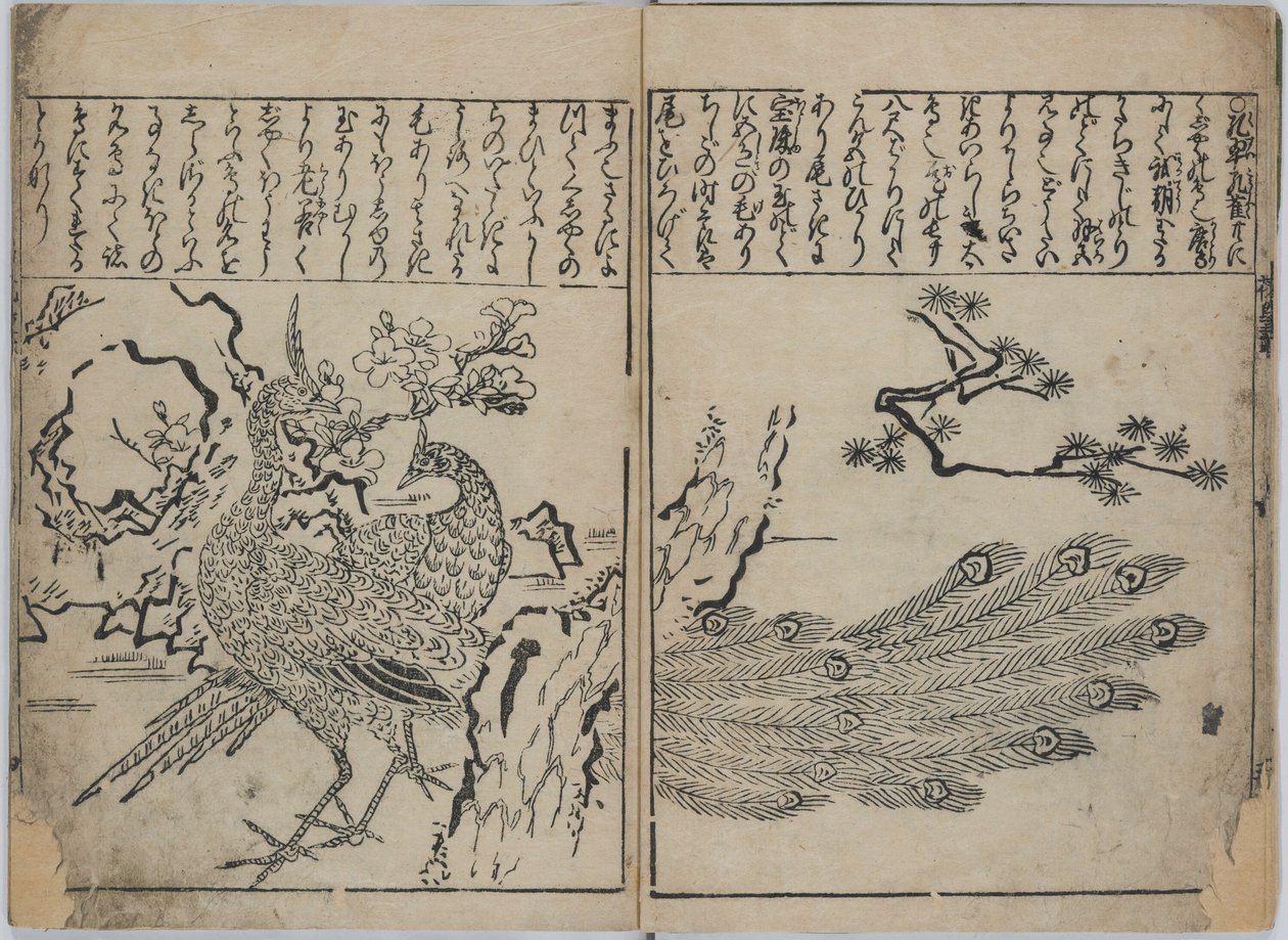 Uma coleção de flores e pássaros (Kacho zukushi) de Hishikawa Moronobu