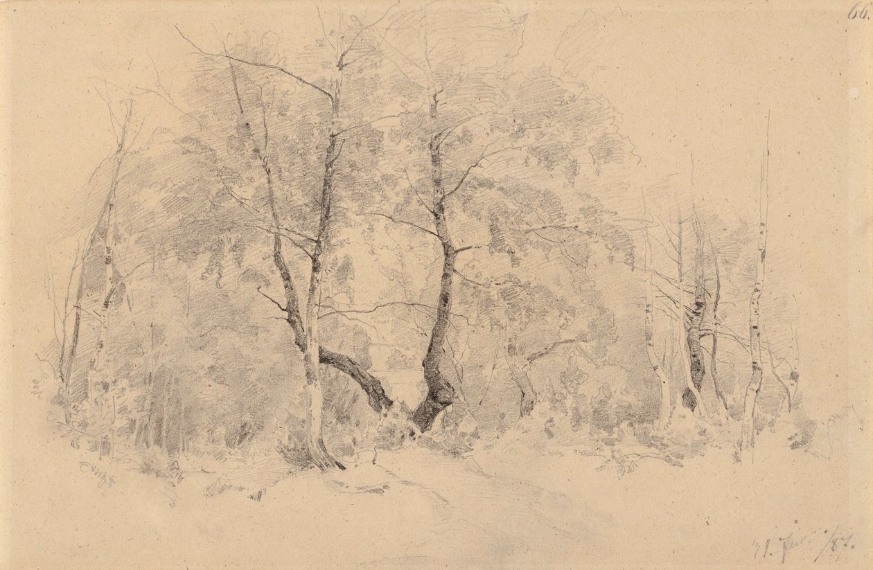 Bosque de bétulas de Hjalmar Munsterhjelm