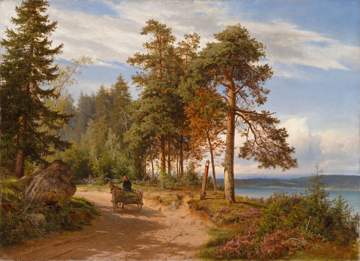 Sem título de Hjalmar Munsterhjelm