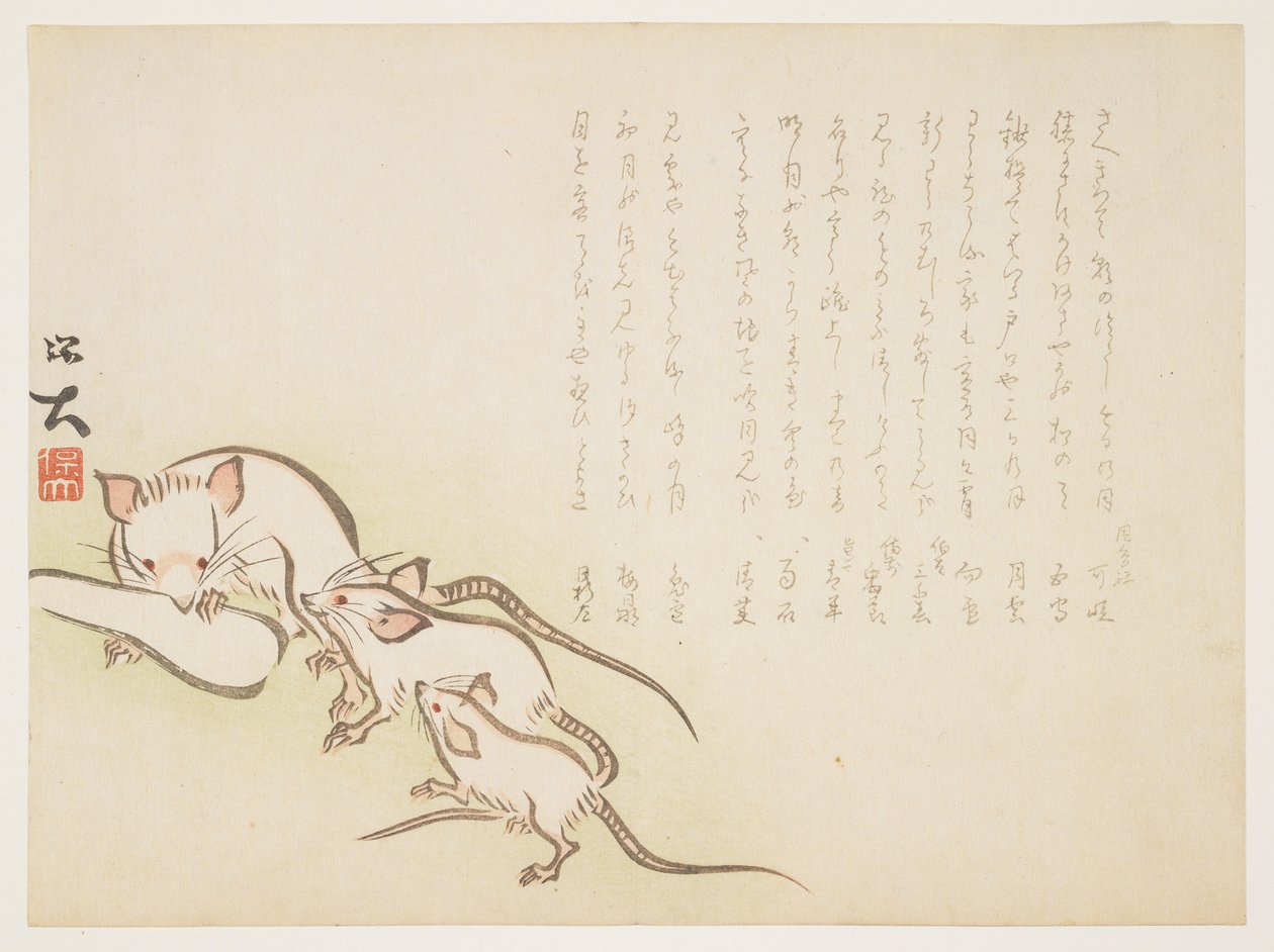 (Ratos brancos), janeiro de 1864 de Hodai