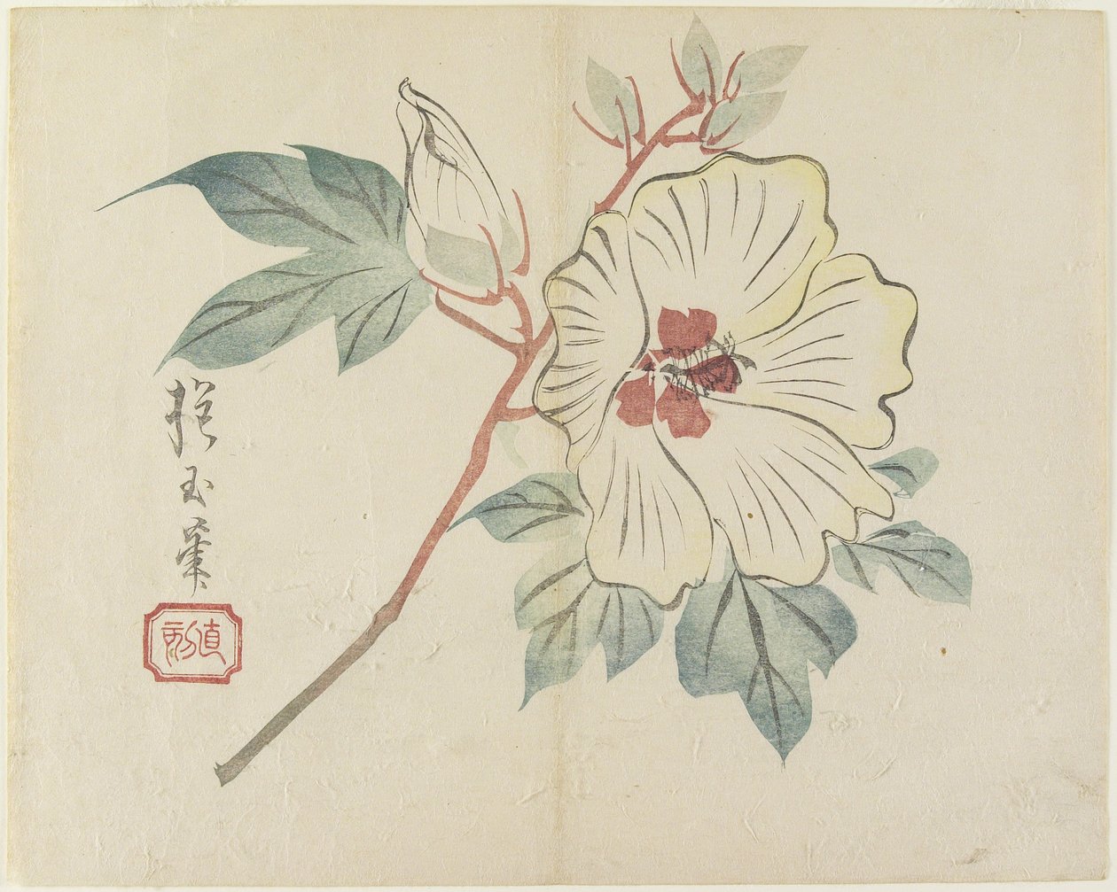 (Flor branca grande), c. 1830 de Hogyoku