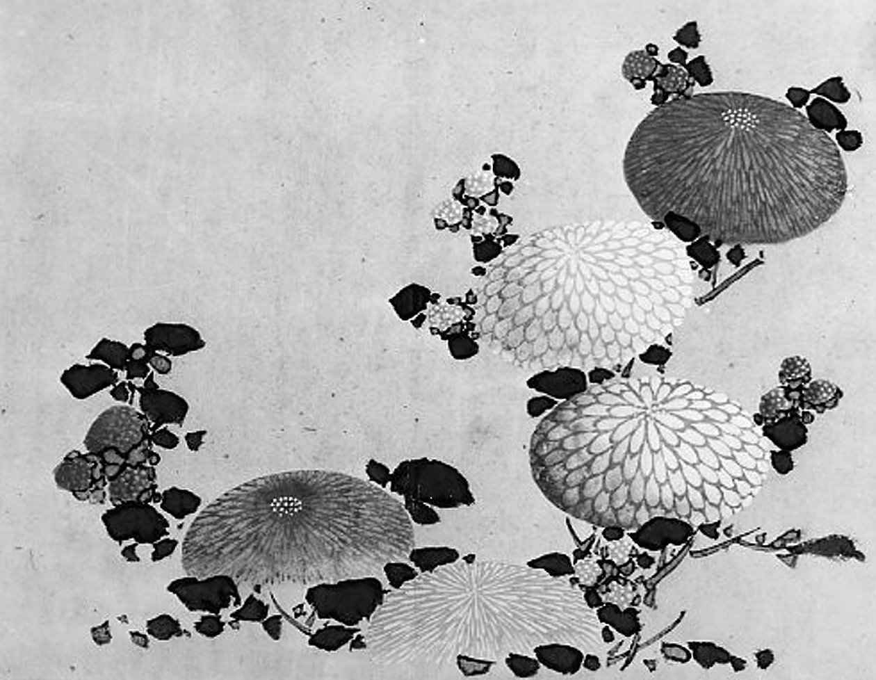 Crisântemos, século XIX. de Hokusai School.