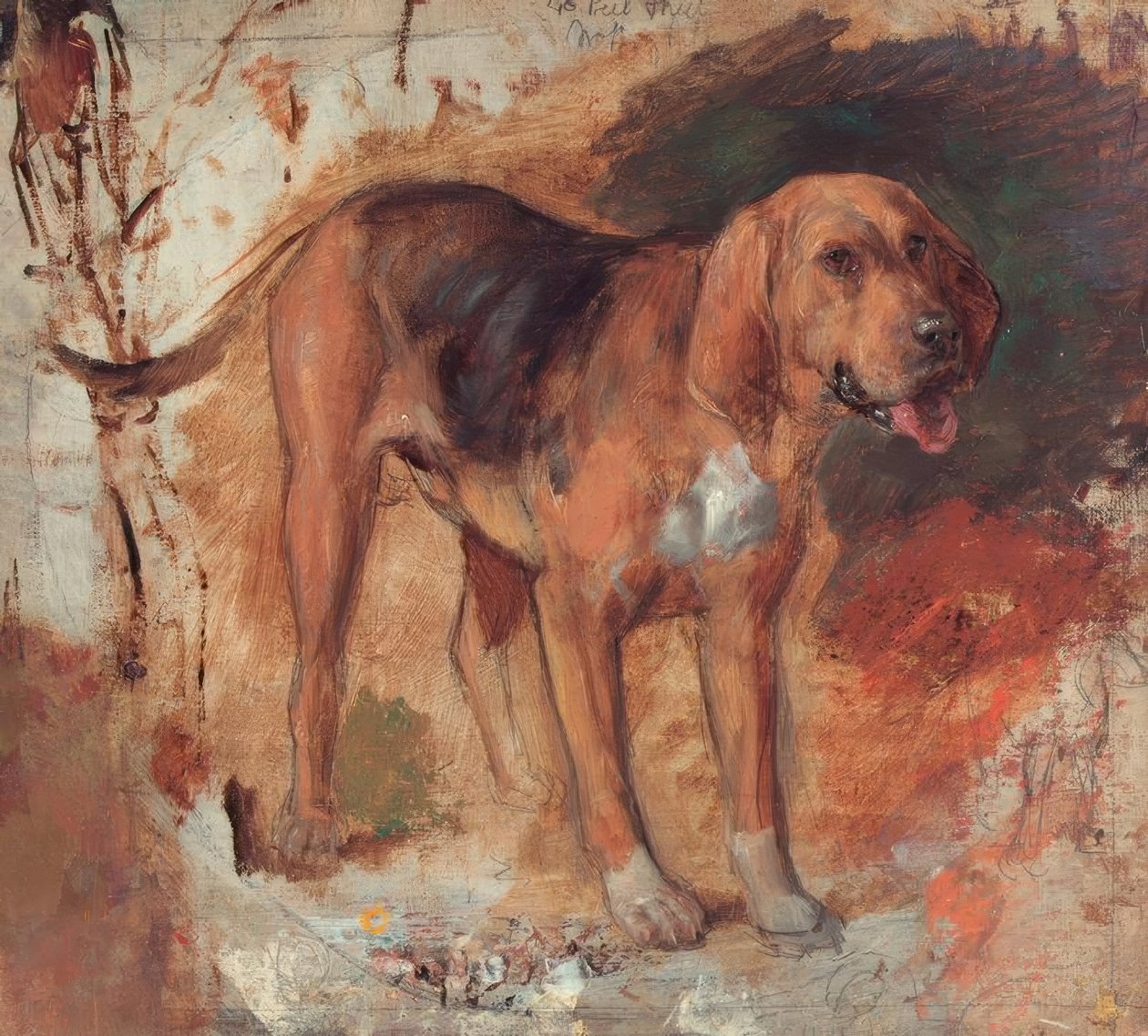 H.Hunt, estudo de um cão de caça de Holman Hunt