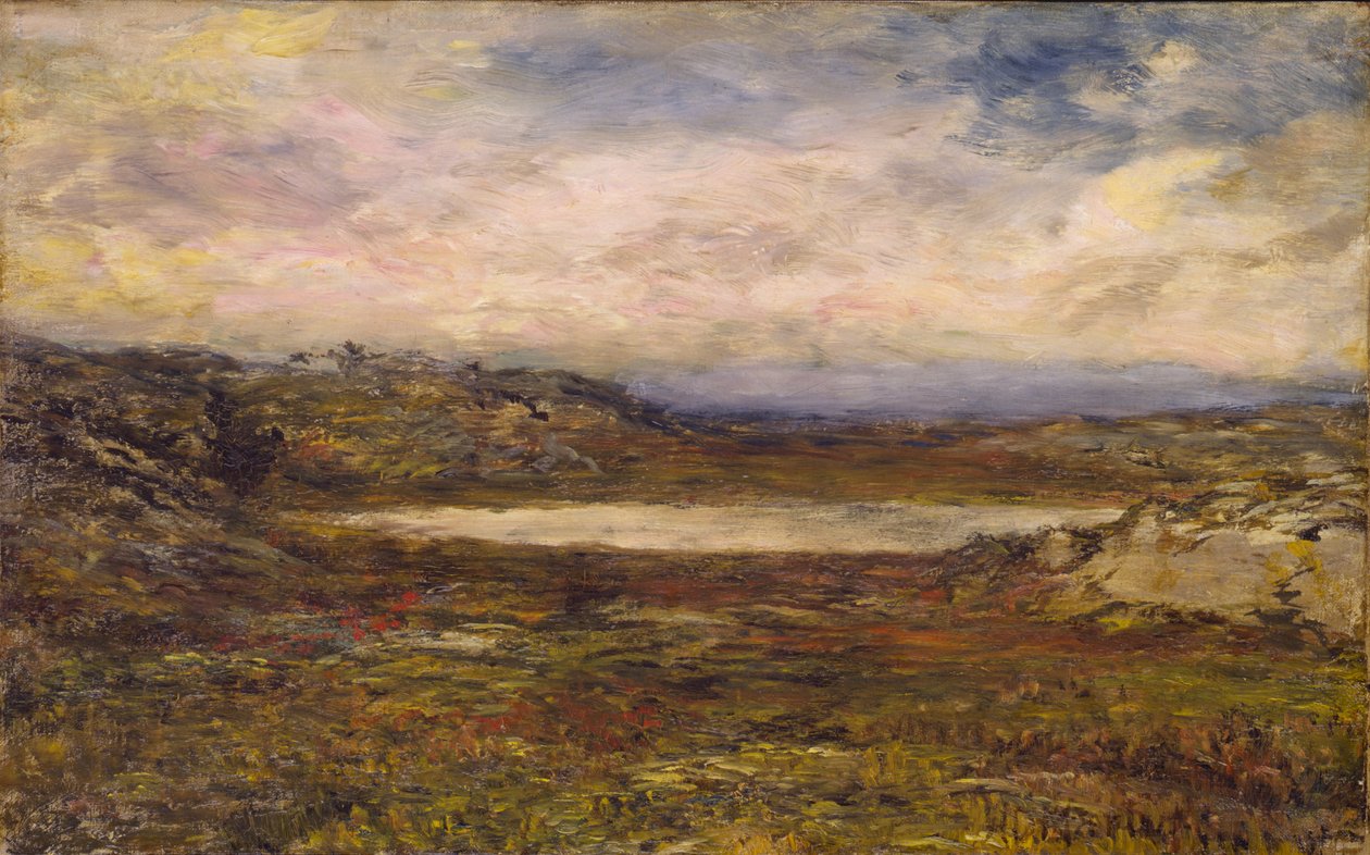 Costa Selvagem, Newport, c. 1885-1895. de Homer Dodge Martin