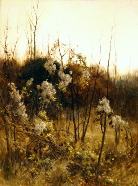 Alegria dos Viajantes de Hon. Walter John James