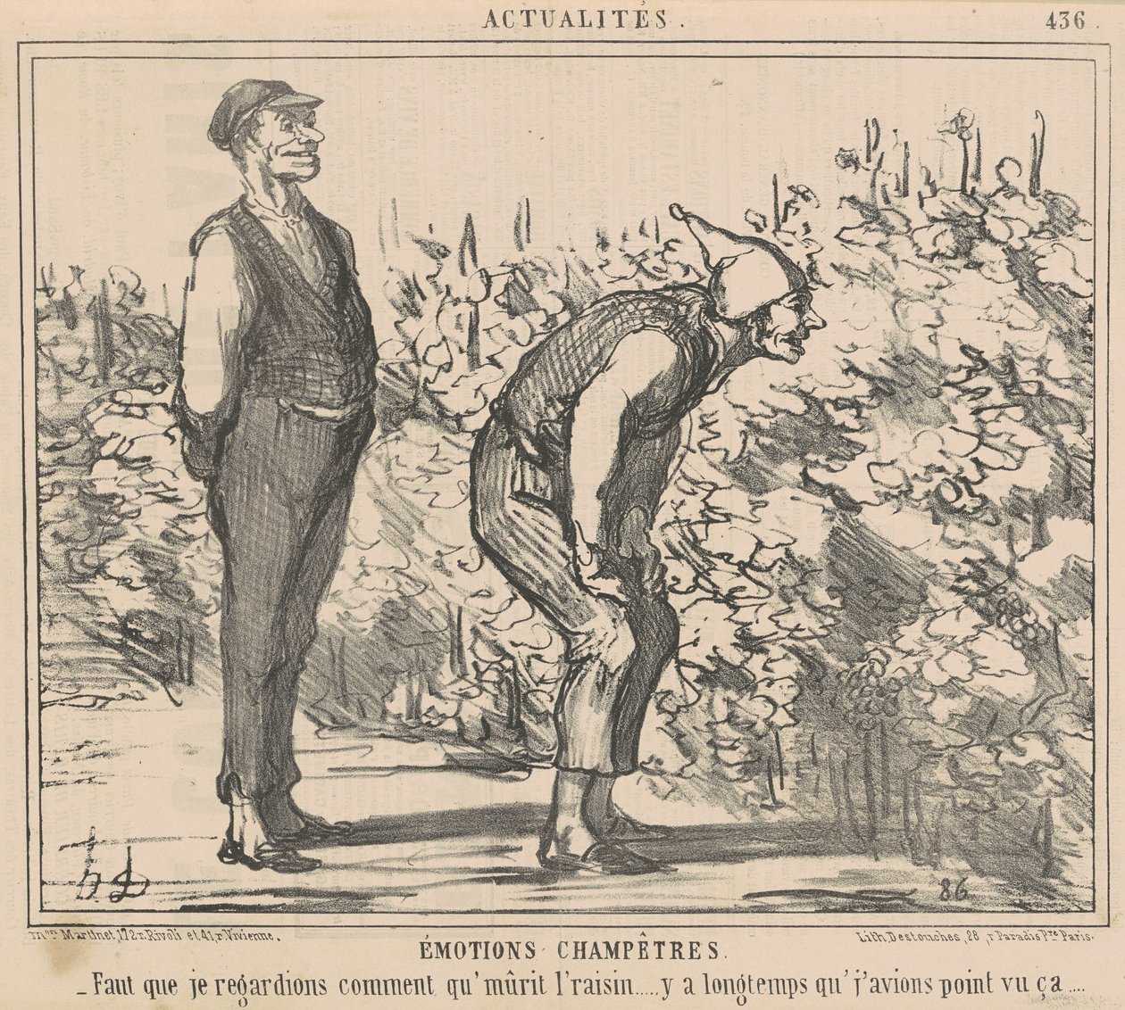 Tenho que ver como a uva amadurece... de Honoré Daumier