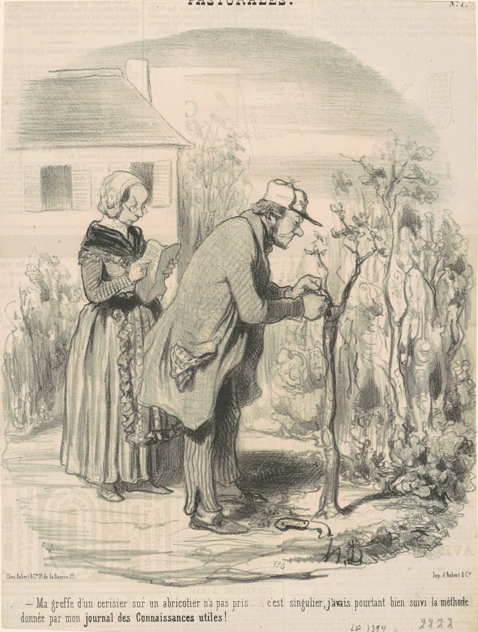 Meu enxerto de uma cerejeira em um damasco não demorou ... de Honoré Daumier