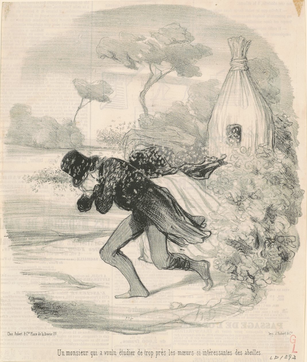 Un monsieur qui voulu étudier ... les moeurs ... des abeilles de Honoré Daumier