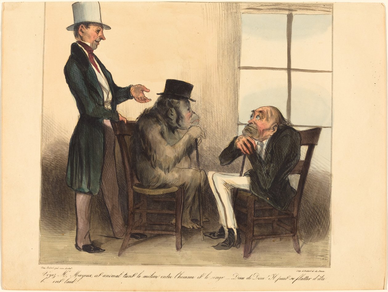 Veja, Sr. Mayeux, este animal... de Honoré Daumier